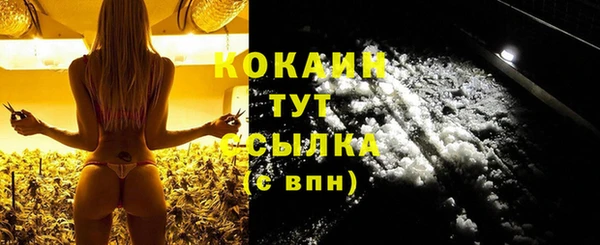 гашик Белокуриха