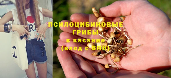 таблы Белоозёрский