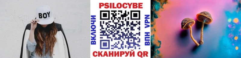 Псилоцибиновые грибы Cubensis  Кунгур 